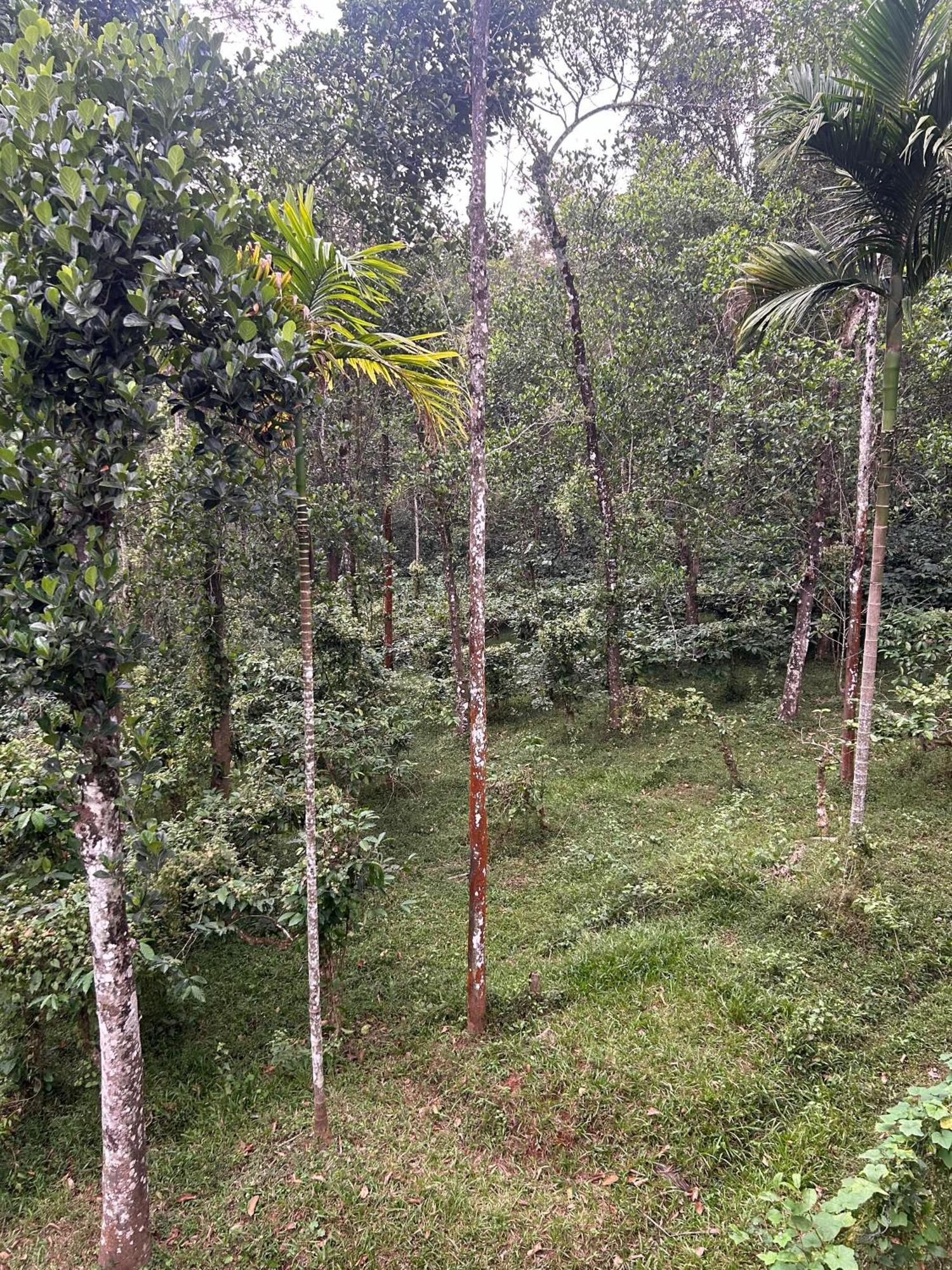 Sylvan Resort Wayanad Ngoại thất bức ảnh